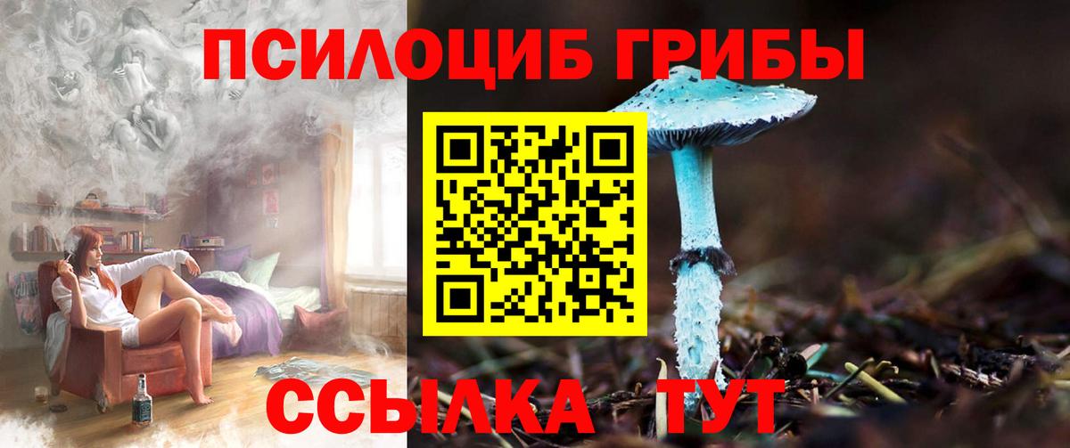Псилоцибиновые грибы GOLDEN TEACHER  Вход с VPN  Чехов 
